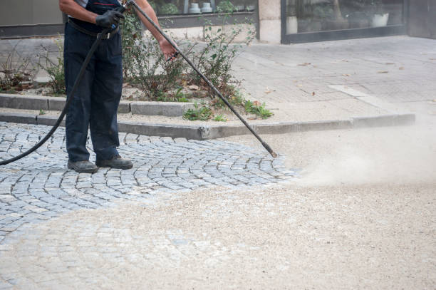 Best Roof Washing  in Mbrian Park, CA